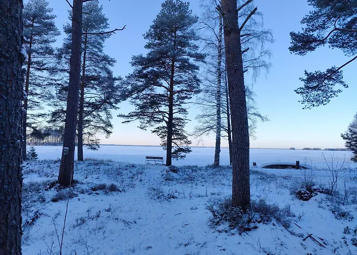 别墅 Koivuniemen Tila 3 *